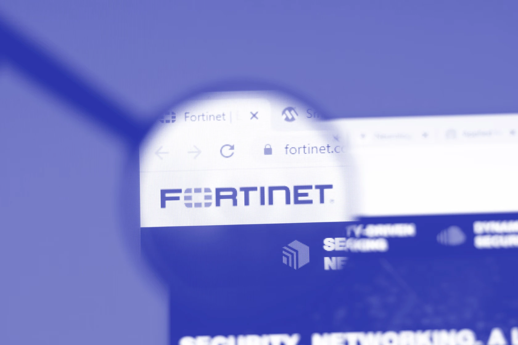 takian.ir fortibitch steals 440gb of data from fortinet